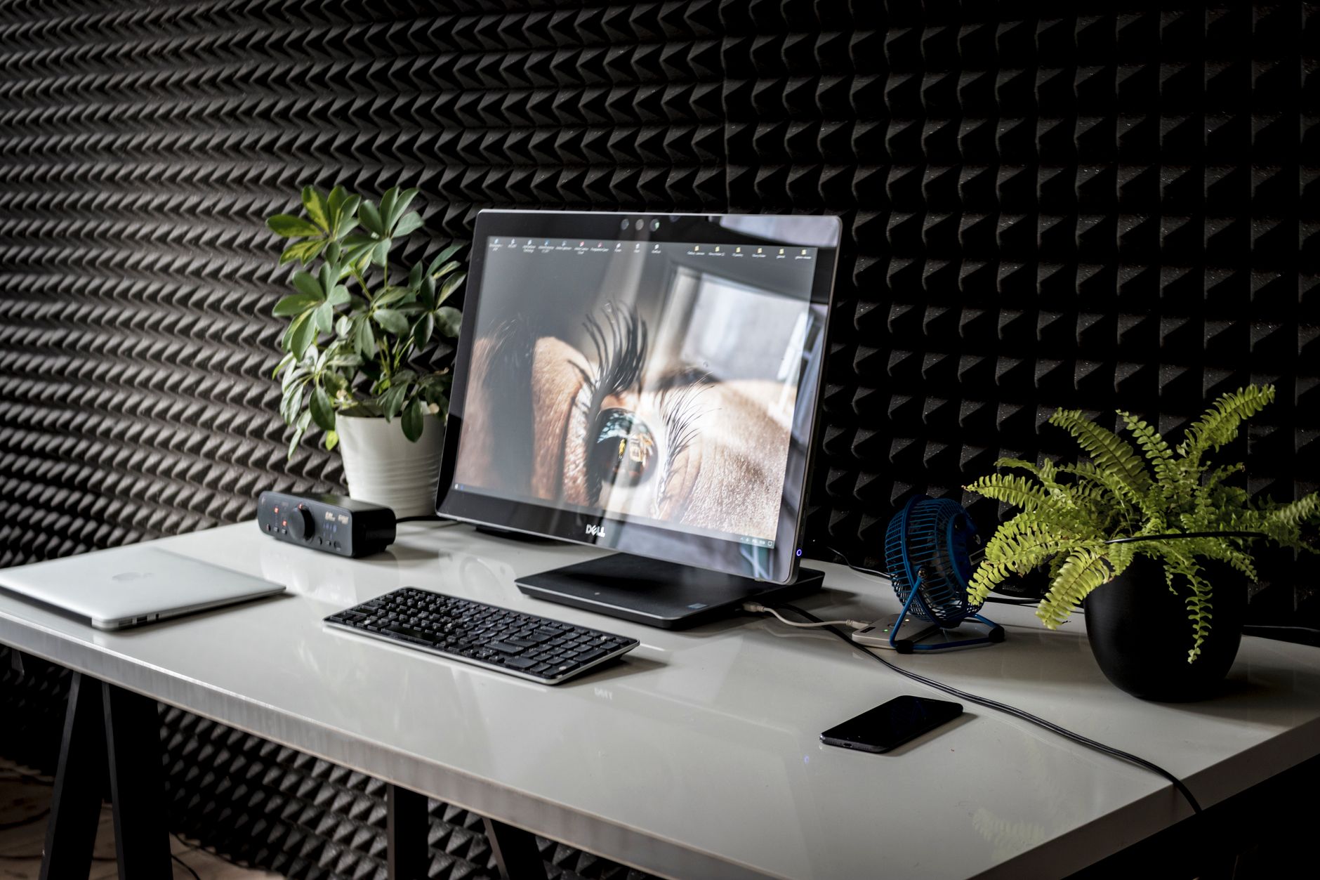 Die besten Monitore für Ihr Home Office: Kaufberatung für Produktivität und Augen