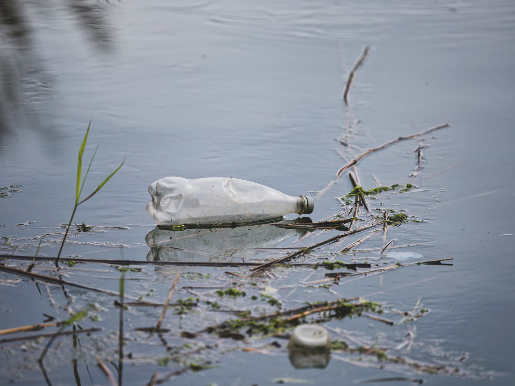 Wasser-Druckboot basteln: Physik spielerisch entdecken