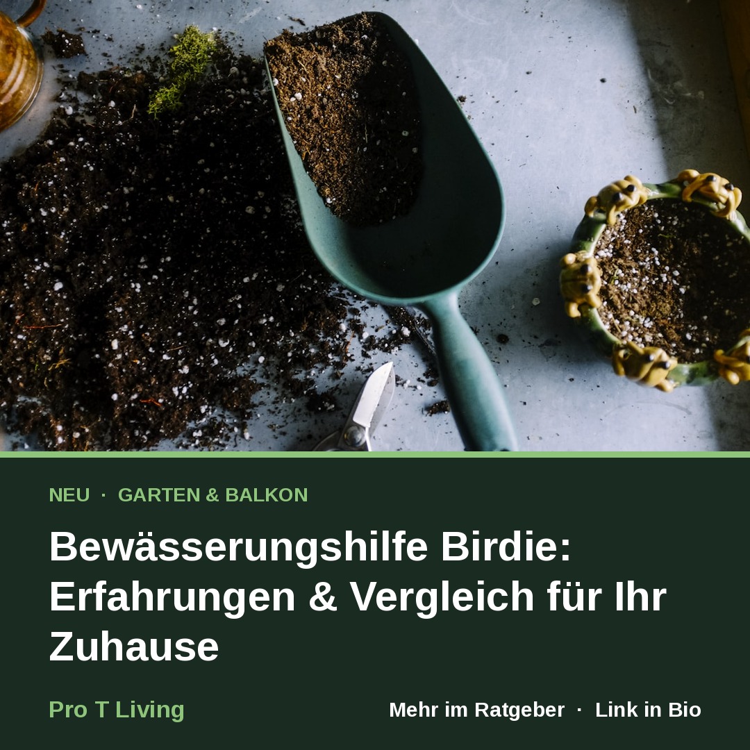 Bewässerungshilfe Birdie: Erfahrungen & Vergleich für Ihr Zuhause