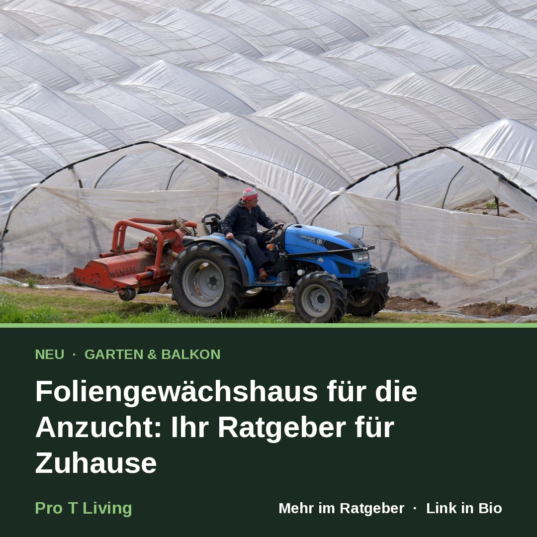 Foliengewächshaus für die Anzucht: Ihr Ratgeber für Zuhause