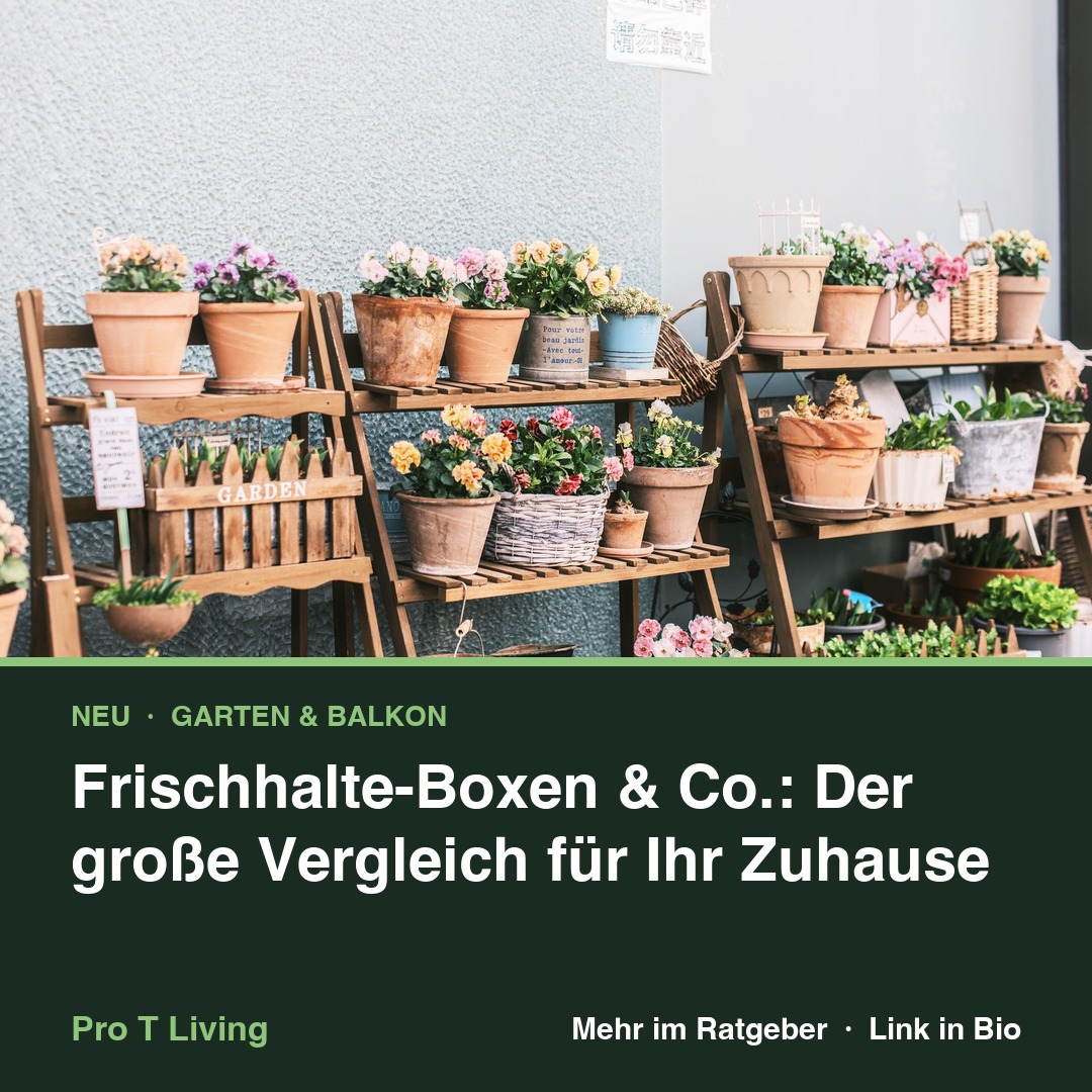 Frischhalte-Boxen & Co.: Der große Vergleich für Ihr Zuhause