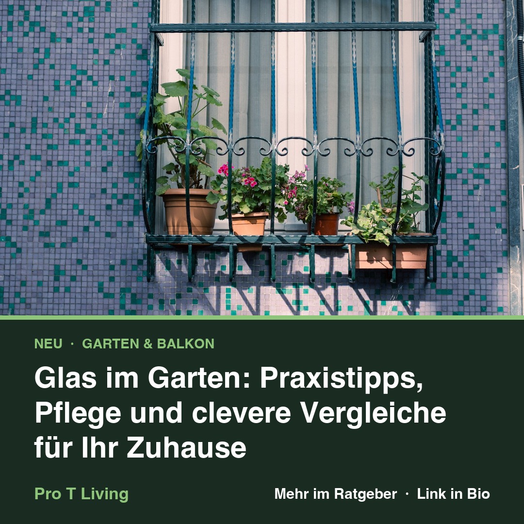 Glas im Garten: Praxistipps, Pflege und clevere Vergleiche für Ihr Zuhause
