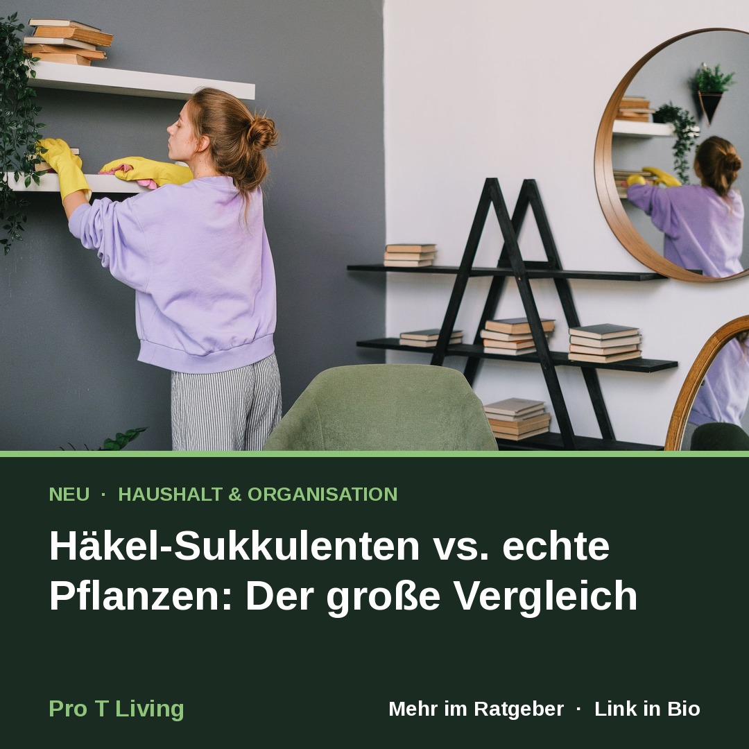 Häkel-Sukkulenten vs. echte Pflanzen: Der große Vergleich