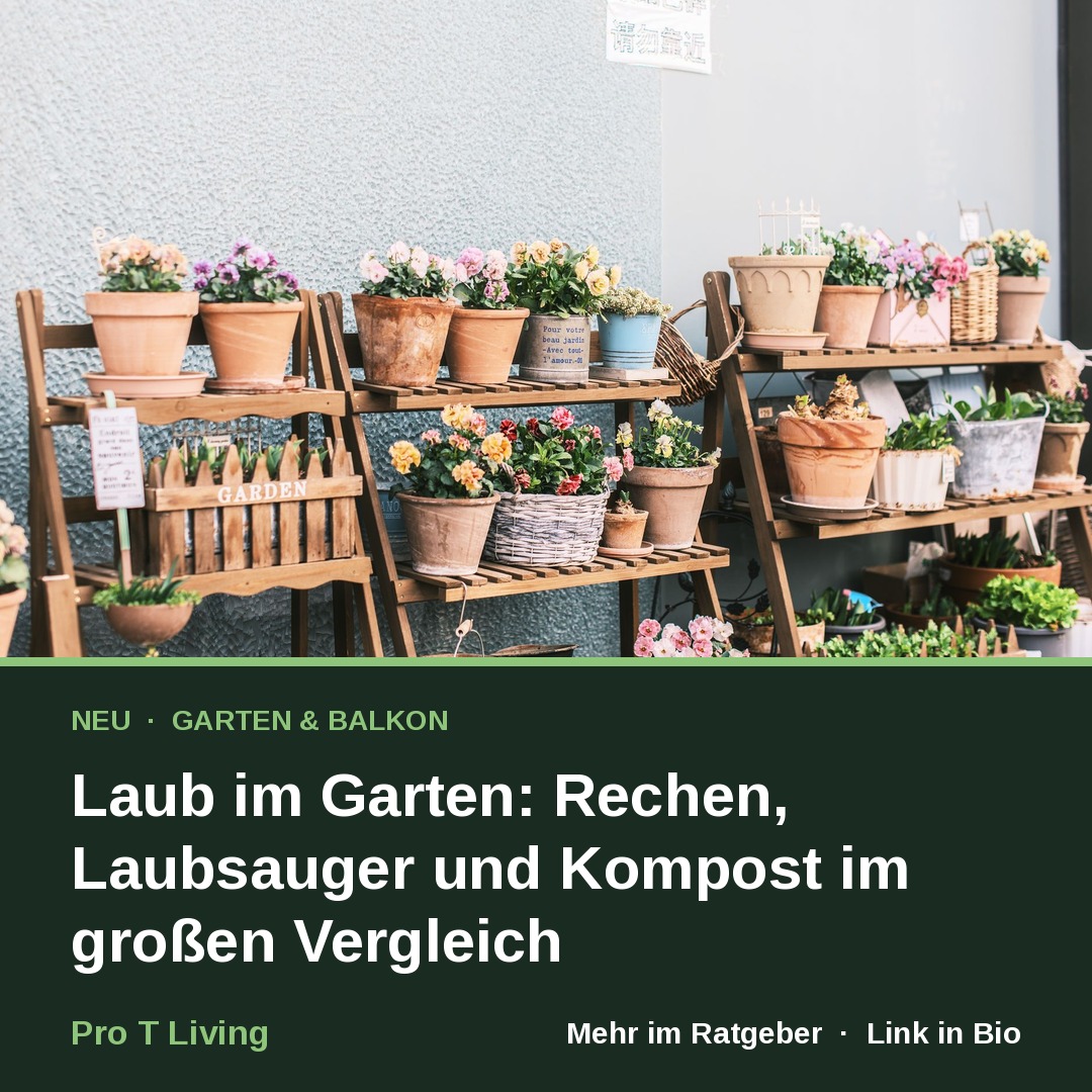 Laub im Garten: Rechen, Laubsauger und Kompost im großen Vergleich