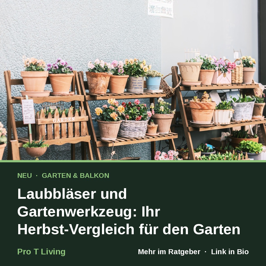 Laubbläser und Gartenwerkzeug: Ihr Herbst-Vergleich für den Garten