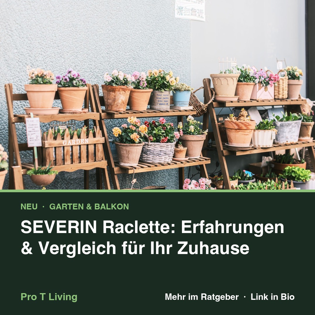 SEVERIN Raclette: Erfahrungen & Vergleich für Ihr Zuhause
