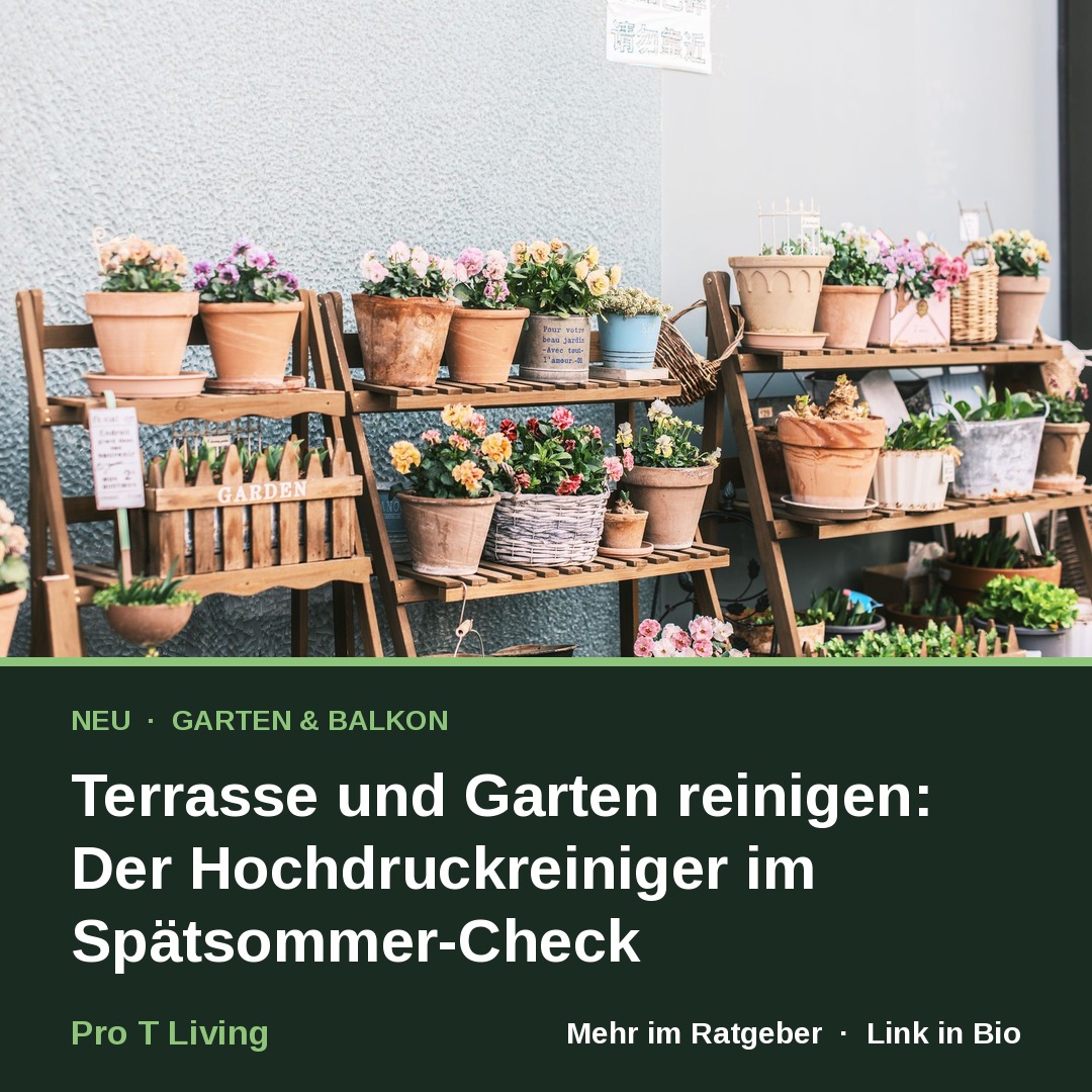 Terrasse und Garten reinigen: Der Hochdruckreiniger im Spätsommer-Check