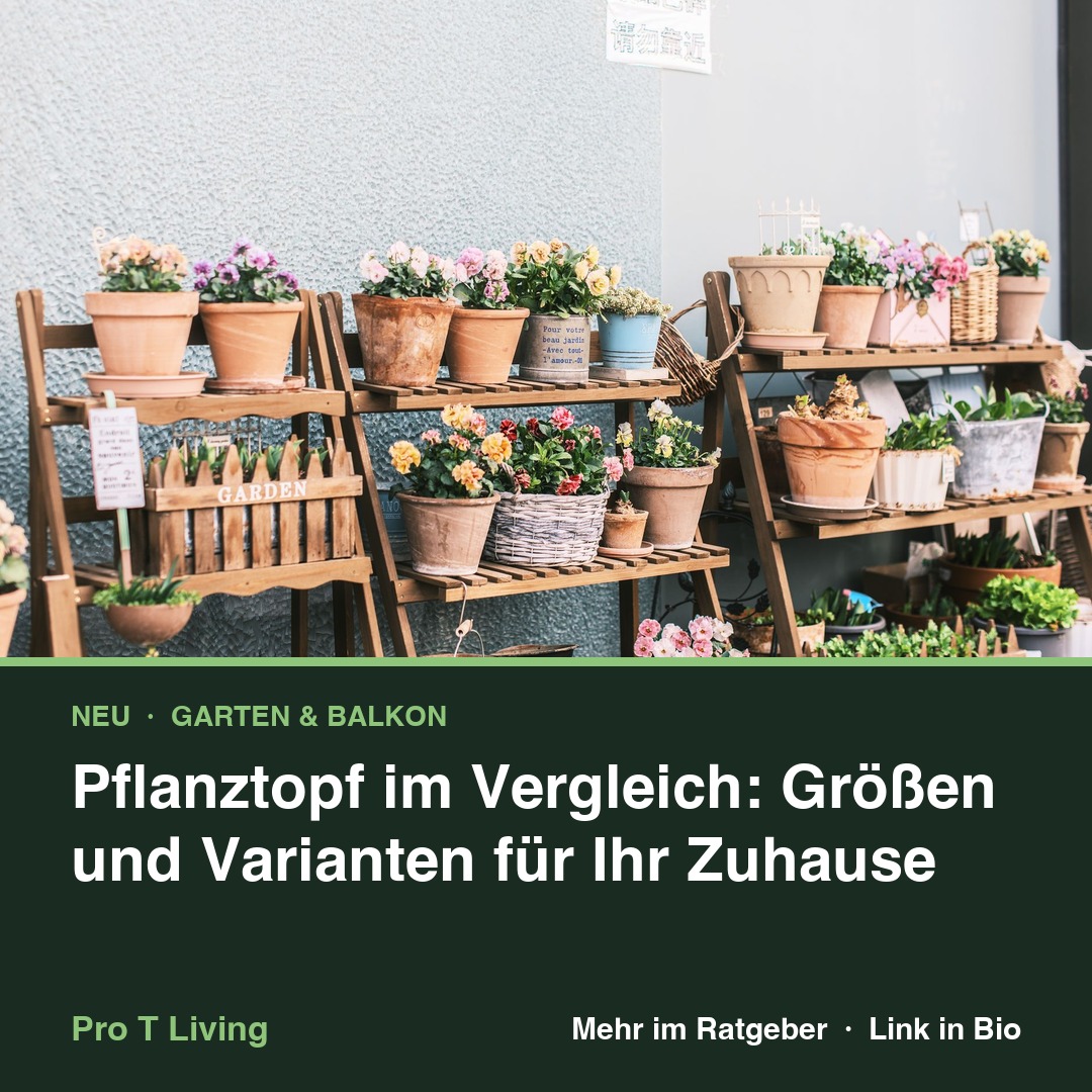 Pflanztopf im Vergleich: Größen und Varianten für Ihr Zuhause
