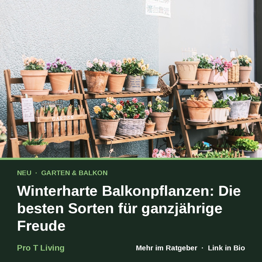 Winterharte Balkonpflanzen: Die besten Sorten für ganzjährige Freude